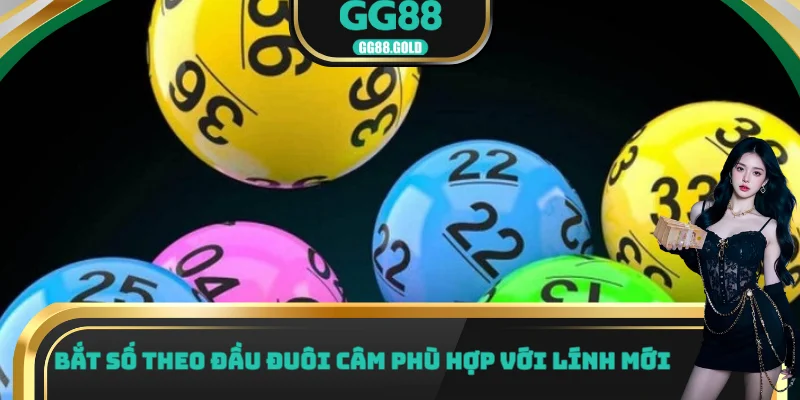 Bắt số theo đầu đuôi câm phù hợp với lính mới